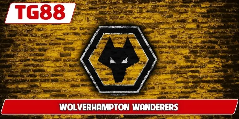 Wolverhampton Wanderers: Tin Tức Và Kèo Cược Wolver Tại TG88 Wolverhampton Wanderers: Tin Tức Và Kèo Cược Wolver Tại TG88